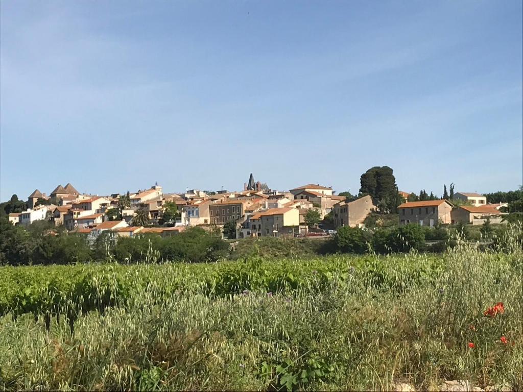 Maison Bon Ton Paraza Esterno foto